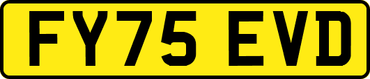 FY75EVD