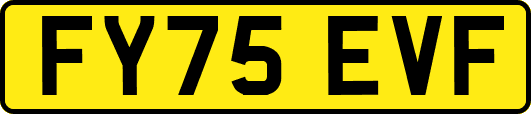 FY75EVF