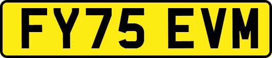 FY75EVM