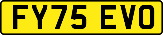 FY75EVO