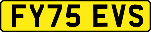 FY75EVS
