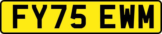 FY75EWM