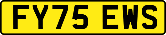 FY75EWS