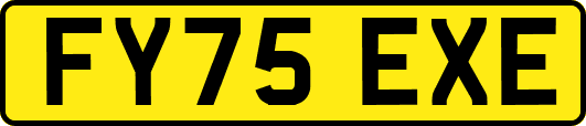 FY75EXE