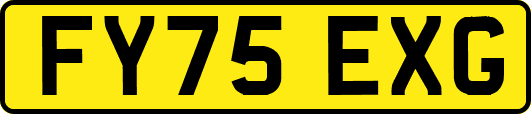 FY75EXG
