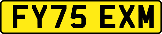 FY75EXM