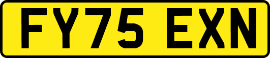 FY75EXN