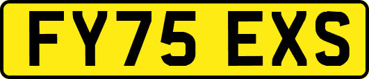 FY75EXS