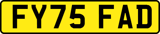 FY75FAD