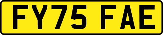 FY75FAE