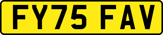 FY75FAV