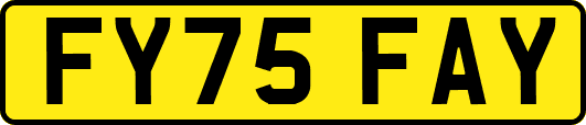 FY75FAY