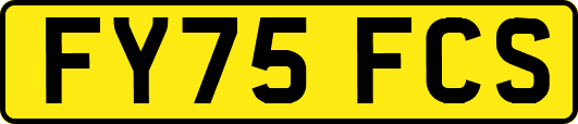 FY75FCS