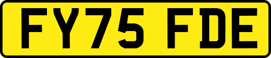 FY75FDE