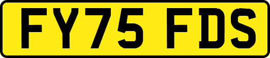 FY75FDS