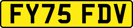 FY75FDV