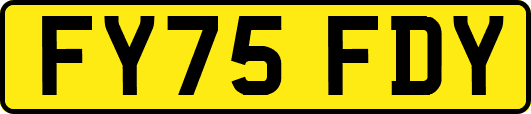 FY75FDY