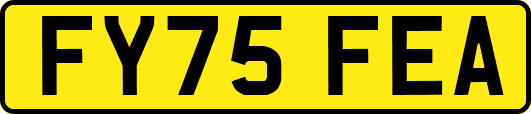 FY75FEA