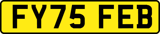 FY75FEB