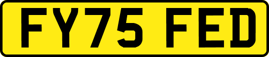 FY75FED
