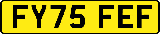 FY75FEF