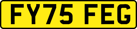 FY75FEG