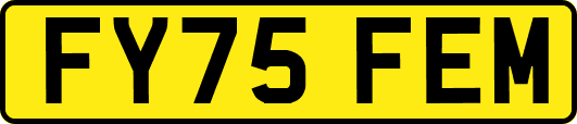 FY75FEM