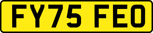 FY75FEO