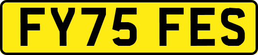 FY75FES