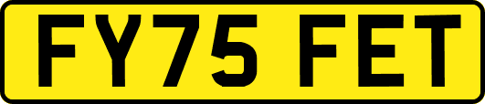 FY75FET
