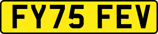 FY75FEV