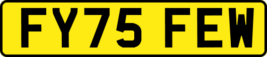 FY75FEW