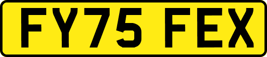FY75FEX