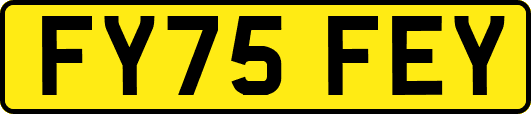 FY75FEY