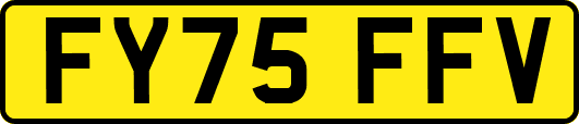 FY75FFV
