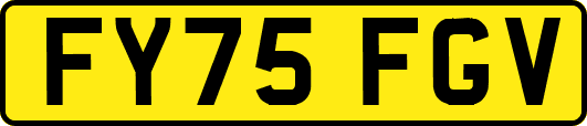 FY75FGV