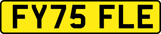 FY75FLE