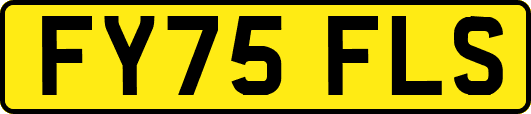 FY75FLS