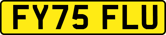 FY75FLU