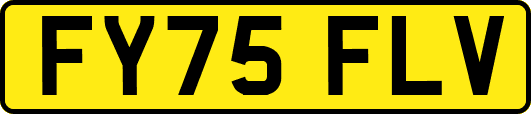 FY75FLV