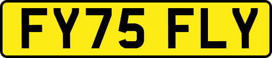 FY75FLY