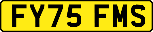 FY75FMS