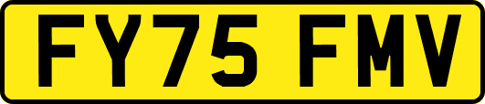 FY75FMV