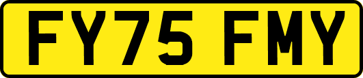 FY75FMY