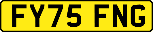 FY75FNG
