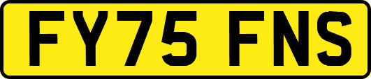 FY75FNS