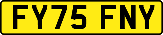 FY75FNY