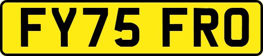 FY75FRO