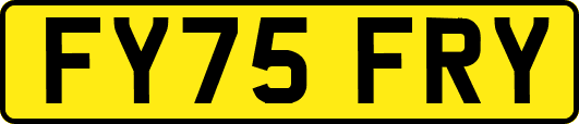 FY75FRY