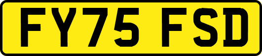 FY75FSD